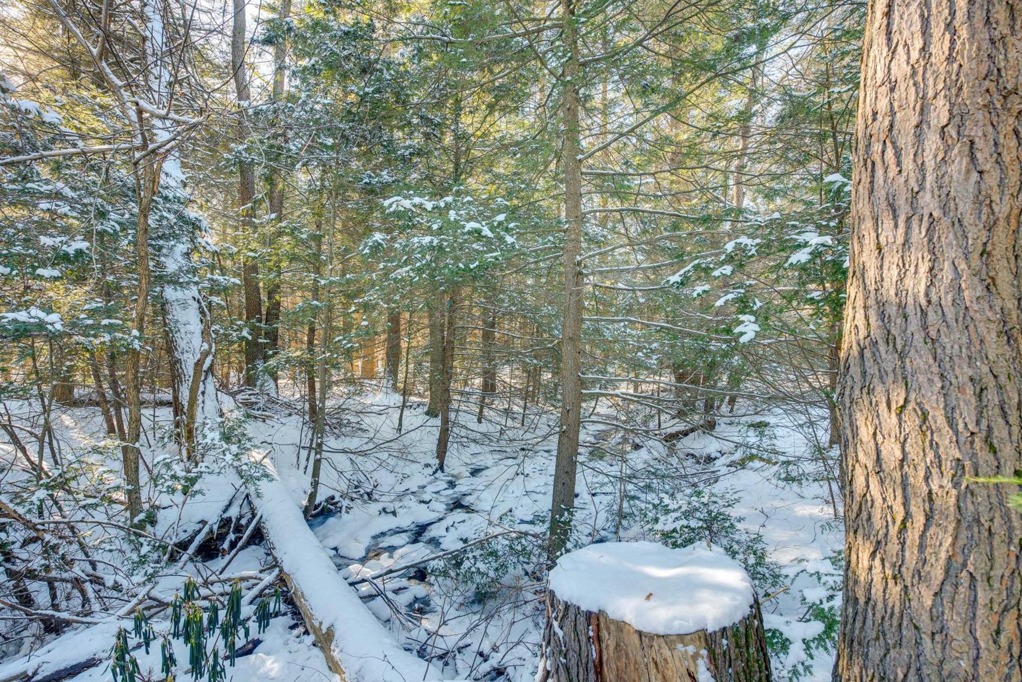 Cozy Cabin, 7 Mi To Jack Frost Area! Blakeslee